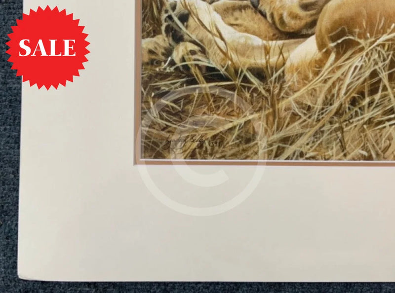 Lioness & Cubs, Limited Edition Wildlife Big Cat Print by Lyndsey Selley