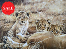 Lioness & Cubs, Limited Edition Wildlife Big Cat Print by Lyndsey Selley