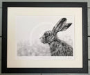 Listening Hare by Nolon Stacey Framed
