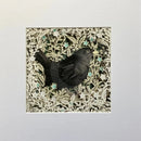 Little Blackbird, Giclée Print by Anna Cook