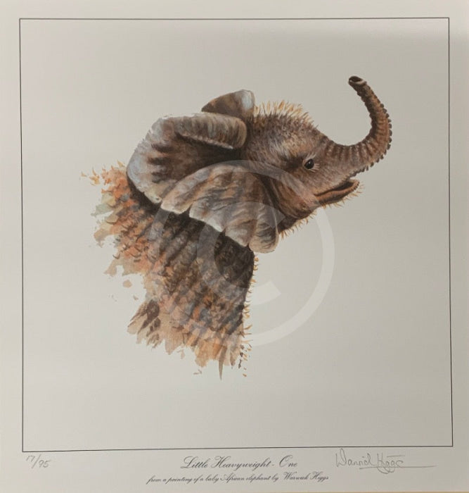 Little Heavyweight- One, Limited Edition African Elephant Print by Warwick Higgs- Last One