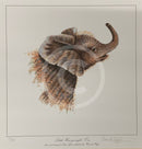Little Heavyweight- One, Limited Edition African Elephant Print by Warwick Higgs- Last One