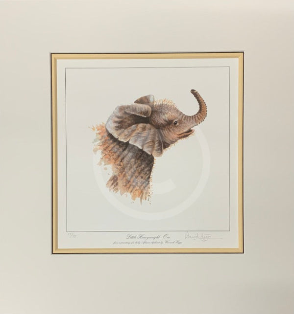 Little Heavyweight- One, Limited Edition African Elephant Print by Warwick Higgs- Last One