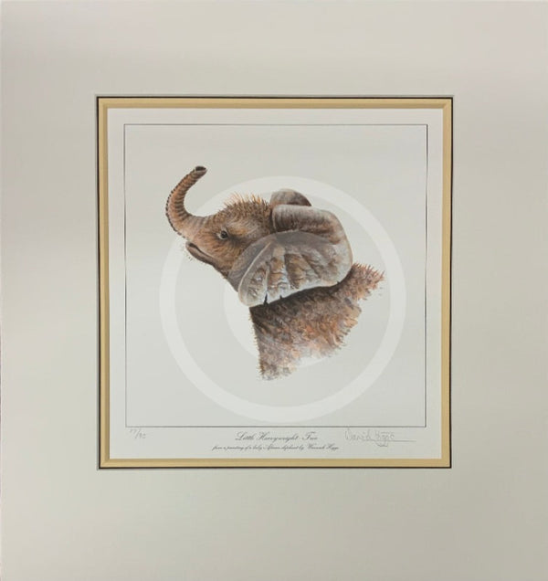 Little Heavyweight-Two, Limited Edition African Elephant Print by Warwick Higgs- Last One
