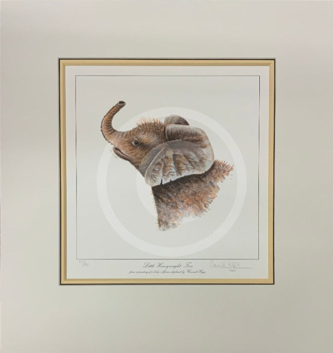 Little Heavyweight-Two, Limited Edition African Elephant Print by Warwick Higgs- Last One