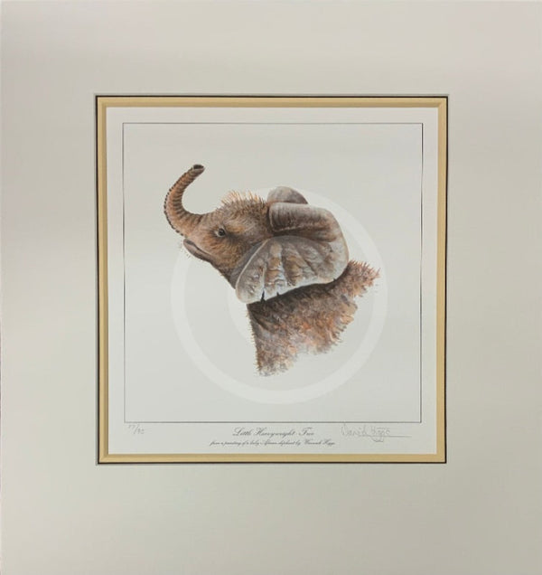 Little Heavyweight-Two, Limited Edition African Elephant Print by Warwick Higgs- Last One