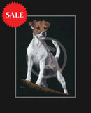 Little Rascal, Limited Edition by Kay Johns