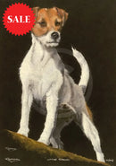 Little Rascal, Limited Edition by Kay Johns