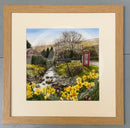 Lost Connection - A Host Of Golden Daffodils By Mark Braithwaite Framed 281 Oak (B)