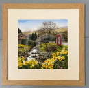 Lost Connection - A Host Of Golden Daffodils By Mark Braithwaite Framed 281 Oak (B)