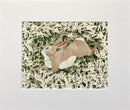 Mad March Hare, Giclée Print by Anna Cook