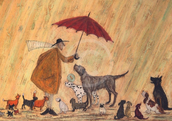 Cats and Dogs  by Sam Toft