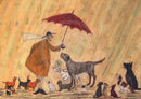Cats and Dogs  by Sam Toft