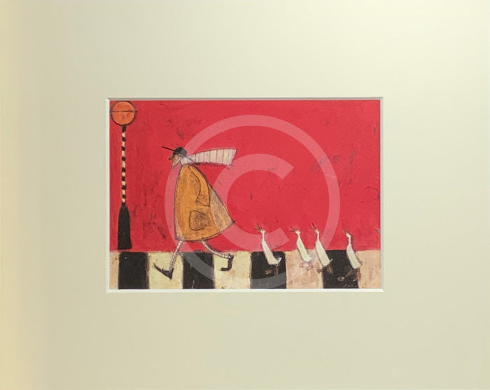 Crossing With Ducks by Sam Toft, mounted miniature print. Fun pictures of a man on a zebra crossing followed by four white ducks