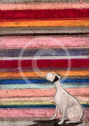 Meet The Mustards: His Masters Voice By Sam Toft Mounted Miniature