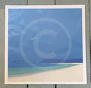 Midsummer Bay by John Miller - photo taken through cello wrap