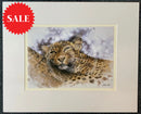 Mischief,  Limited Edition Wildlife Big Cat Leopard  Print by Lyndsey Selley