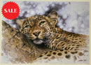 Mischief,  Limited Edition Wildlife Big Cat Leopard  Print by Lyndsey Selley