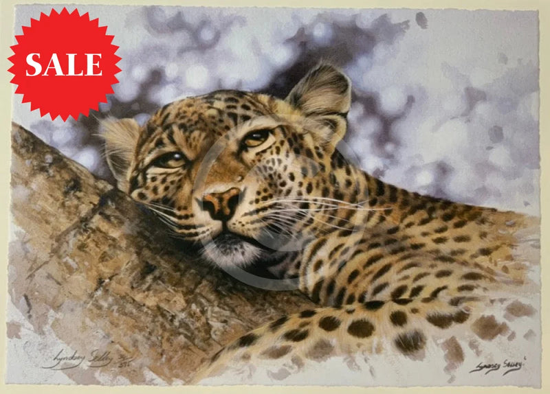 Mischief,  Limited Edition Wildlife Big Cat Leopard  Print by Lyndsey Selley