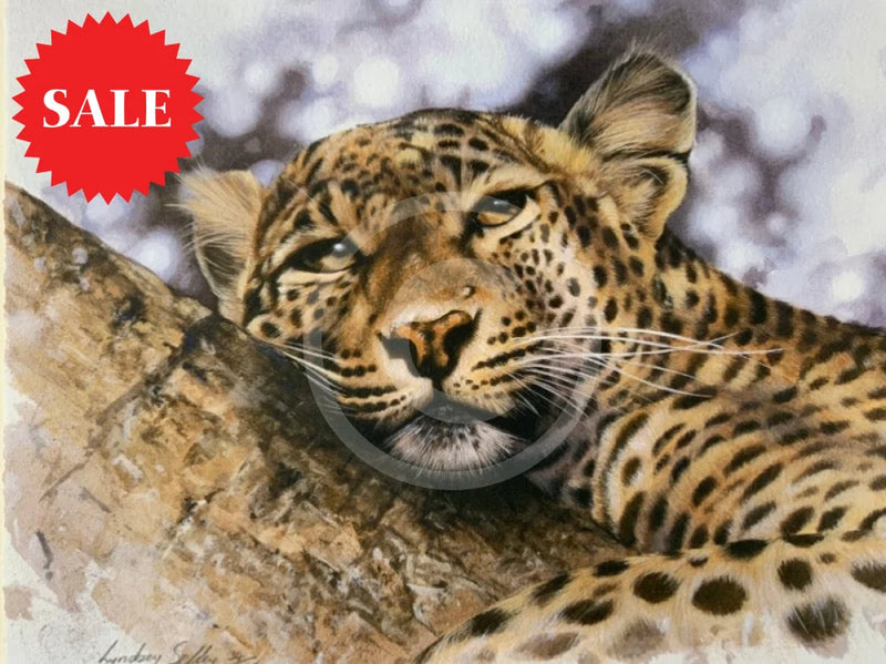 Mischief,  Limited Edition Wildlife Big Cat Leopard  Print by Lyndsey Selley