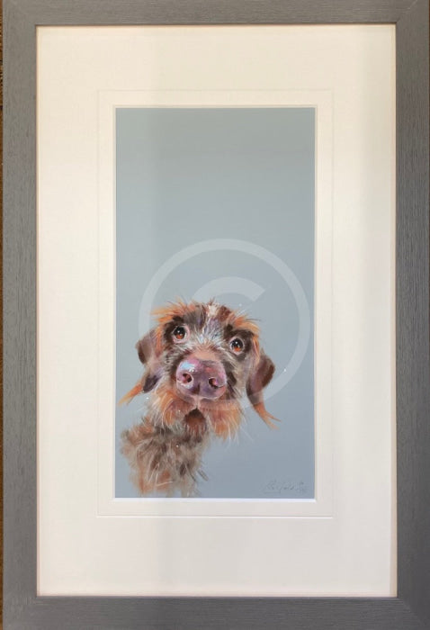 Mischievous by Nicky Litchfield Dog Picture Framed
