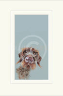 Mischievous by Nicky Litchfield