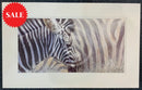 Mix & Match, Zebra Limited Edition Print by Lyndsey Selley