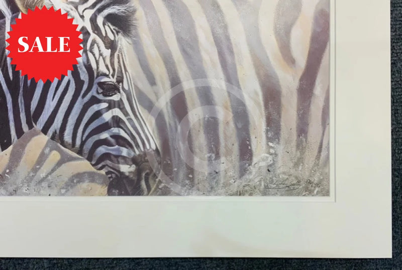 Mix & Match, Zebra Limited Edition Print by Lyndsey Selley