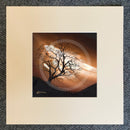 Mocha Skies, The Lonely Tree by Mark Braithwaite