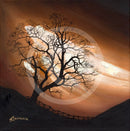 Mocha Skies, The Lonely Tree by Mark Braithwaite