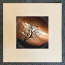 Mocha Skies, The Lonely Tree by Mark Braithwaite