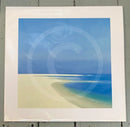 Moon Over the Bay by John Miller - photographed through cello wrap!