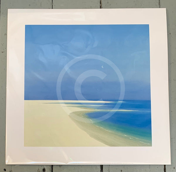 Moon Over the Bay by John Miller - photographed through cello wrap!