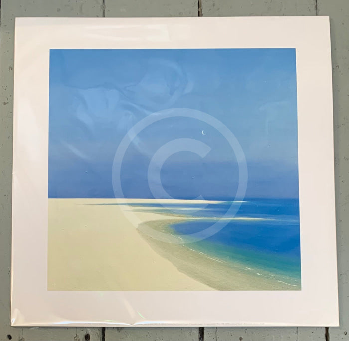 Moon Over the Bay by John Miller - photographed through cello wrap!