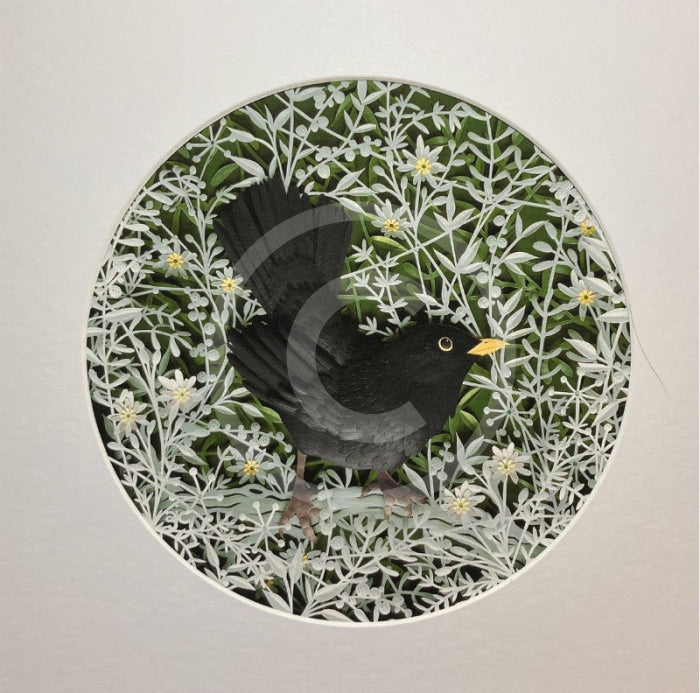 Morning Has Broken, Blackbird Giclée Print by Anna Cook