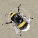 Mr Bumbles (Mounted) By Louise Luton