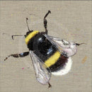 Mr Bumbles (Mounted) By Louise Luton