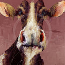 Muzzle the Cow by Amanda Stratford