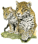 My Blue Eyed Boy By Nicola Gillyon 300 X 400Mm / White Mount