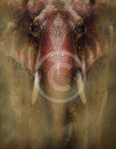 Never Forget, Elephant Print by Amanda Stratford 