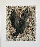 Night Glider, Giclée Print of a Crow by Anna Cook