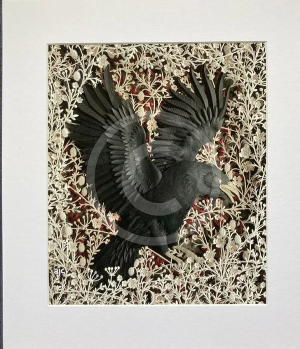 Night Glider, Giclée Print of a Crow by Anna Cook