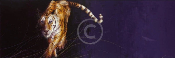 Night Passage, Tiger Print by Amanda Stratford 