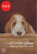 Only The Lonely By John Silver