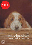Only The Lonely By John Silver