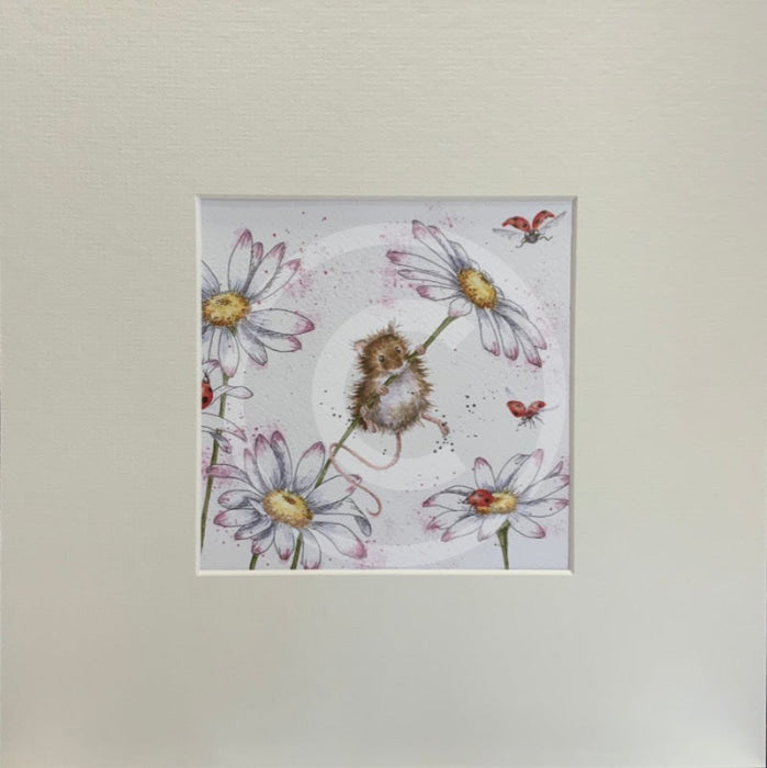 Oops a Daisy by Hannah Dale