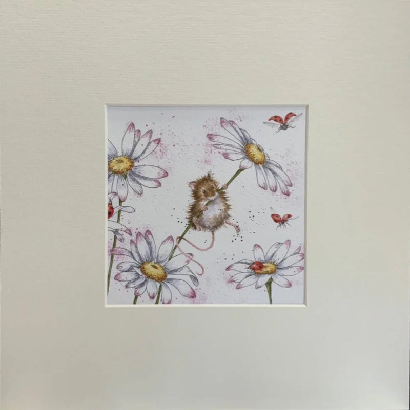 Oops a Daisy by Hannah Dale