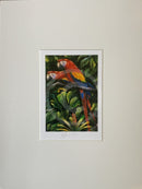 Parrots Print by Greg Harris
