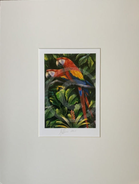 Parrots Print by Greg Harris
