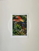 Parrots Print by Greg Harris